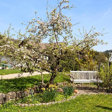 Ferienwohnung Im Alpenblick Steinen  Zewnętrze zdjęcie