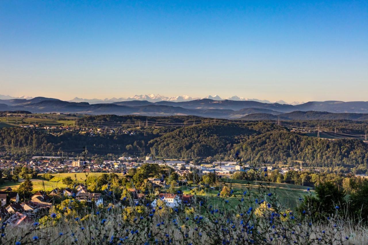 Ferienwohnung Im Alpenblick Steinen  Zewnętrze zdjęcie